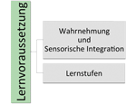 Lernen Wahrnehmung
