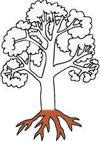 basale Wahrnehmung