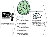 sensorische Integration